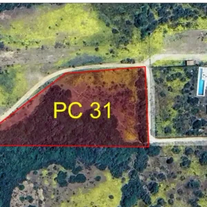 Parcela 31