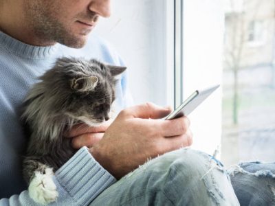 Young man sits on the windowsill, holds a beautiful, fluffy kitten on his lap and reads news on his mobile phone